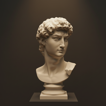 Eternal Elegance: Michelangelo's David Bust